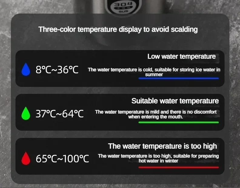 Botella de Agua para Té Thermos SUS304 500ML-1Litro Termo de Acero Inoxidable con Pantalla LED de Temperatura, Taza Portátil